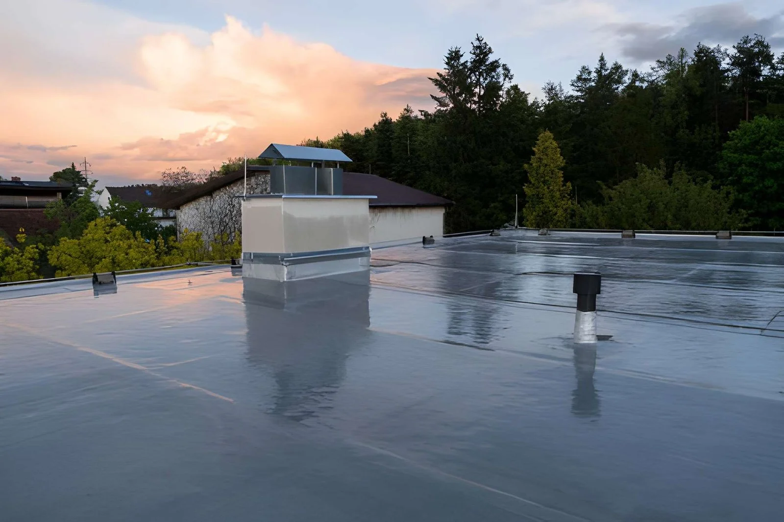 Roof damage and leaks