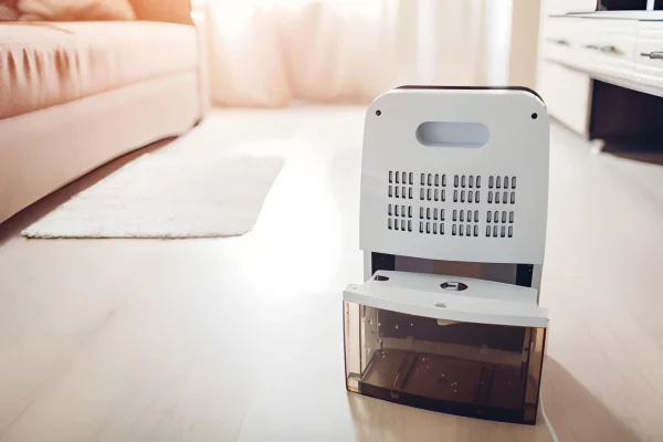 Dehumidifier NY (1)